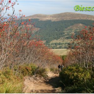 Fotomagnes twardy Bieszczady 4-0