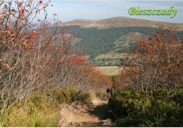 Fotomagnes twardy Bieszczady 4-0