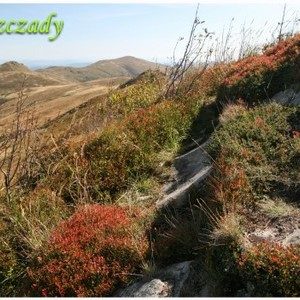 Fotomagnes twardy Bieszczady 5-0