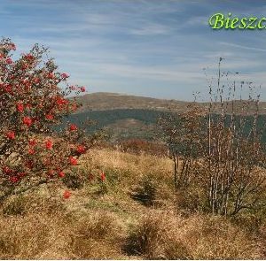 Fotomagnes miękki Bieszczady 6-0