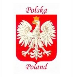 Fotomagnes twardy Polska 1-0