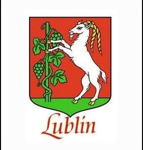 Fotomagnes miękki Lublin 4-0