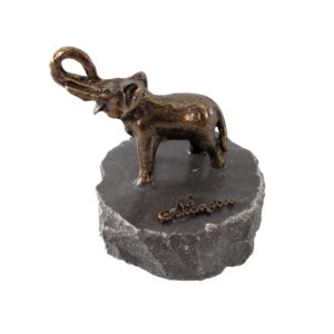 Słoń na kamieniu-0