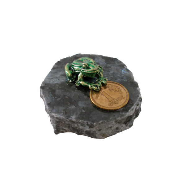 Żabka na kamieniu-0