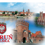 Kubek Toruń wzór 3-5885