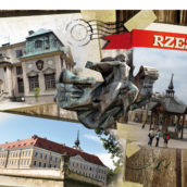 Kubek Rzeszów wzór 2-5864