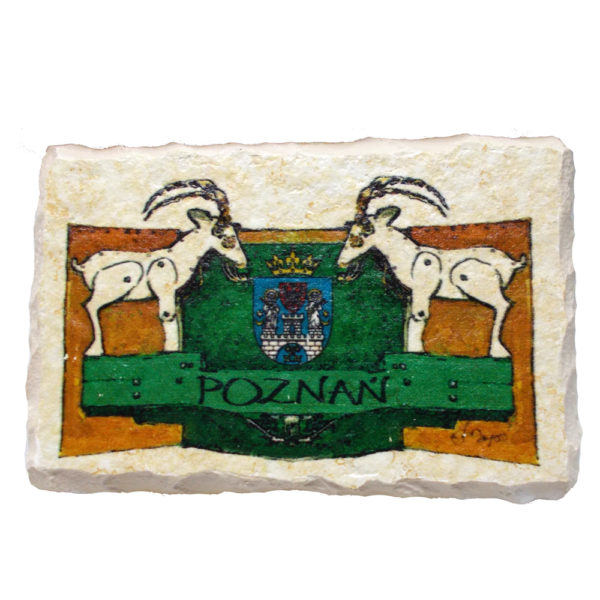 Magnes na skale Poznań Koziołki-0