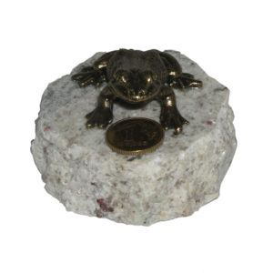 Żabka duża na kamieniu-0