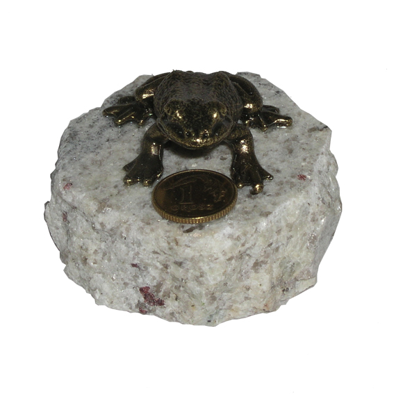 Żabka duża na kamieniu-0